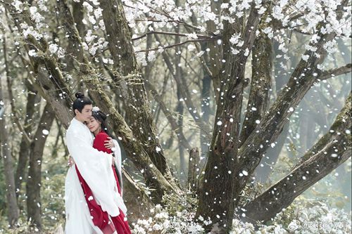 最好看的2018中文在線觀看電視