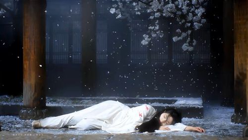 最好看的2018中文在線觀看電視