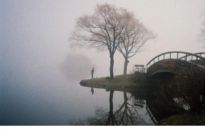 最新電影2025在線觀看完整版免費